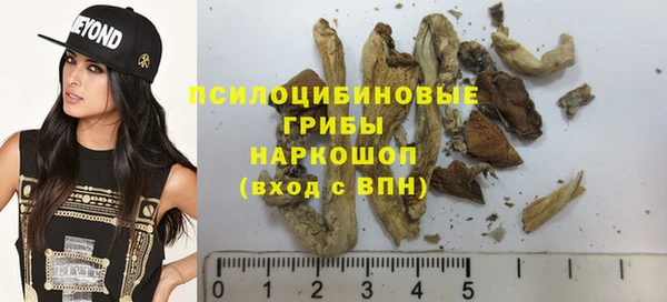 мескалин Арсеньев