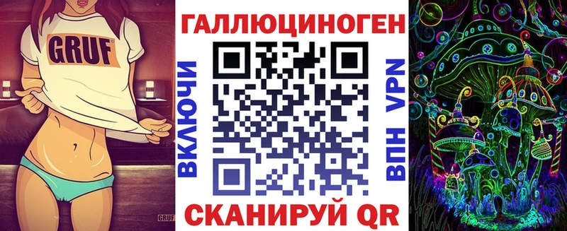 купить наркоту  Багратионовск  Псилоцибиновые грибы Psilocybe 